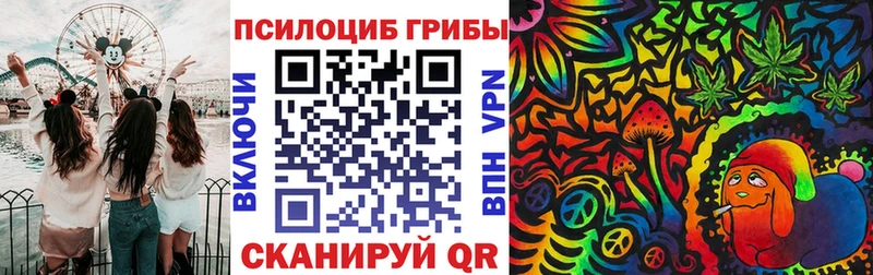 Псилоцибиновые грибы прущие грибы Кувандык